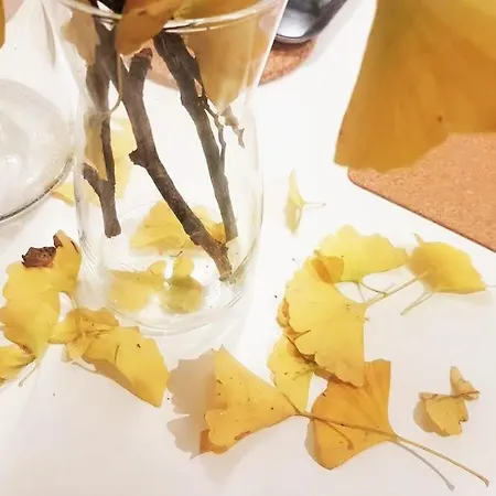 شقة Sweet Downtown