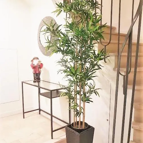 Sweet Downtown Apartament